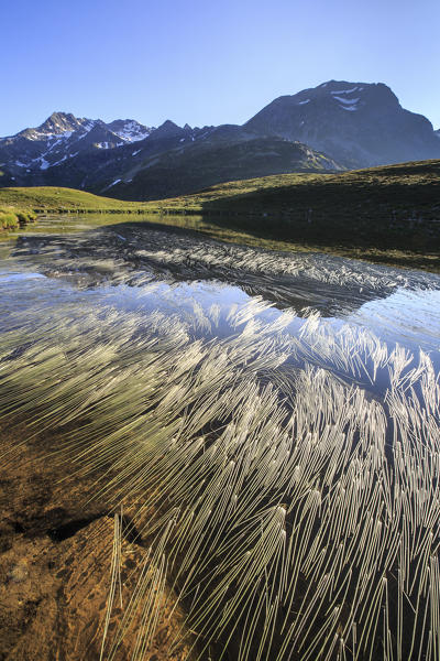 Peaks Suretta and Spadolazzo are reflected in Lake Andossi at sunrise Chiavenna Valley Valtellina Lombardy Italy Europe