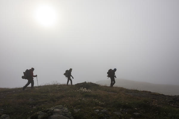 Hikers in the misty landscape at dawn Minor Valley High Valtellina Livigno Lombardy Italy Europe