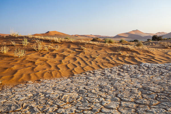 Parched ground and dry plants surrounded by sandy dunes Deadvlei Sossusvlei Namib Desert Naukluft National Park Namibia Africa