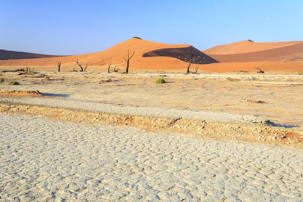 Parched ground and Dead Acacia surrounded by sandy dunes Deadvlei Sossusvlei Namib Desert Naukluft National Park Namibia Africa