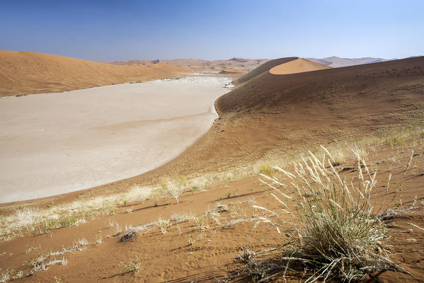 Dead marsh surrounded by sandy dunes Deadvlei Sossusvlei Namib Desert Naukluft National Park Namibia Africa