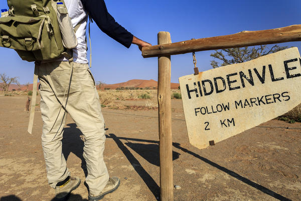 Hiker along the way Deadvlei Sossusvlei Namib Desert Naukluft National Park in Namibia Africa
