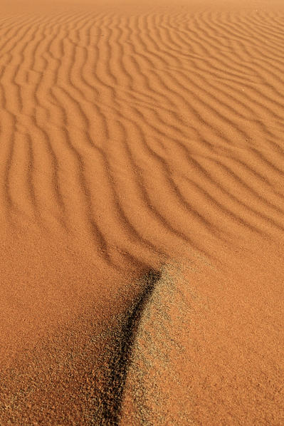 Sand dunes shaped by wind Deadvlei Sossusvlei Namib Desert Naukluft National Park Namibia Africa