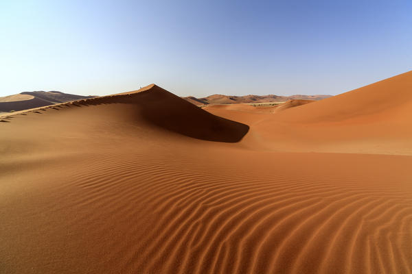 Sand dunes shaped by wind Deadvlei Sossusvlei Namib Desert Naukluft National Park Namibia Africa