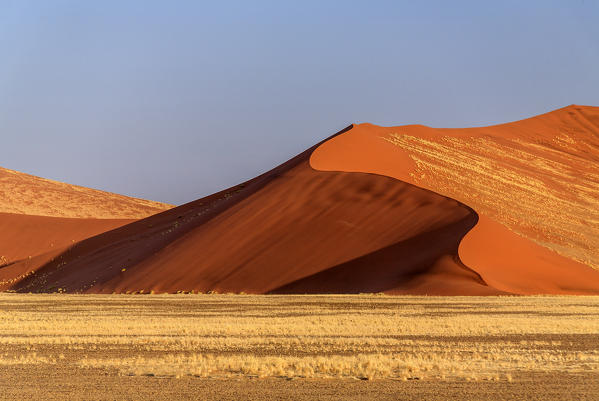 Dune 45 the star dune composed of 5 million year old sand Sossusvlei Namib Desert Naukluft National Park in Namibia Africa