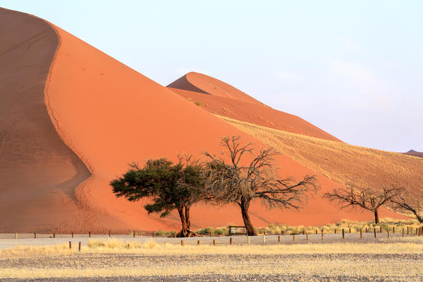 Dune 45 the star dune composed of 5 million year old sand Sossusvlei Namib Desert Naukluft National Park in Namibia Africa
