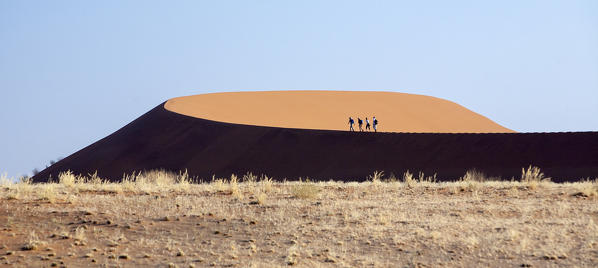 Tourists walking on the sand dunes shaped by the wind Deadvlei Sossusvlei Namib Desert Naukluft National Park in Namibia Africa