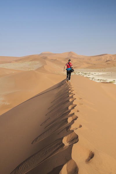 Tourist walking on the sand dunes shaped by the wind Deadvlei Sossusvlei Namib Desert Naukluft National Park in Namibia Africa