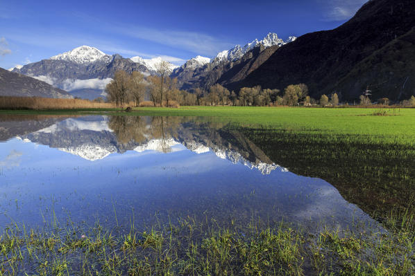 The natural reserve of Pian di Spagna flooded with snowy peaks reflected in the water Valtellina Lombardy Italy Europe