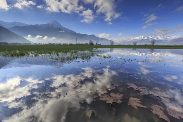 The natural reserve of Pian di Spagna flooded with Mount Legnone reflected in the water Valtellina Lombardy Italy Europe