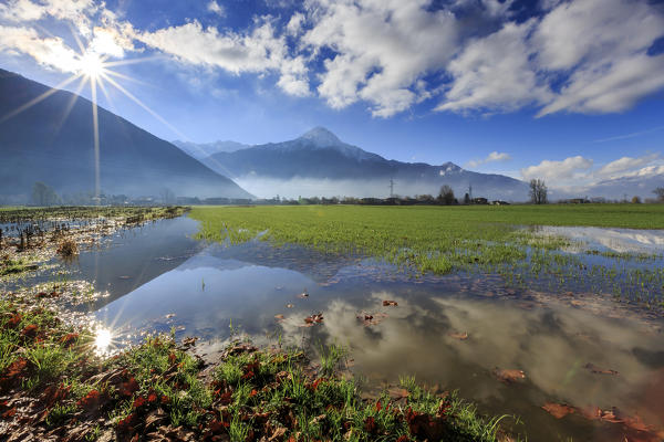 The natural reserve of Pian di Spagna flooded with Mount Legnone reflected in the water Valtellina Lombardy Italy Europe