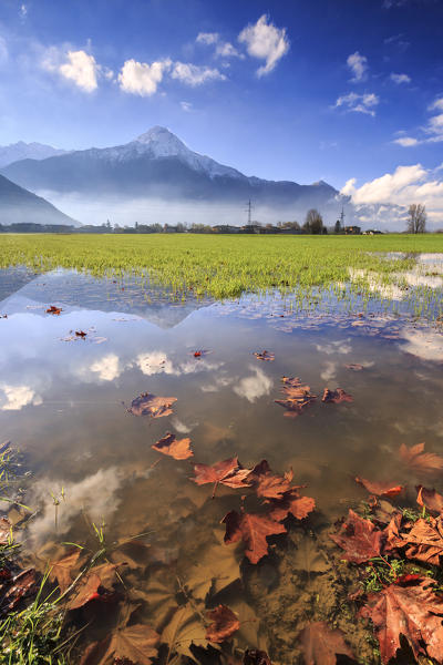 The natural reserve of Pian di Spagna flooded with Mount Legnone reflected in the water Valtellina Lombardy Italy Europe