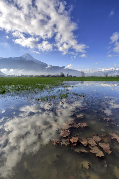 The natural reserve of Pian di Spagna flooded with snowy peaks reflected in the water Valtellina Lombardy Italy Europe