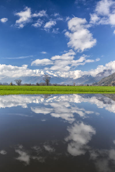 The natural reserve of Pian di Spagna flooded with snowy peaks reflected in the water Valtellina Lombardy Italy Europe