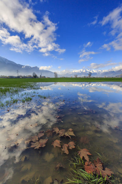 The natural reserve of Pian di Spagna flooded with snowy peaks reflected in the water Valtellina Lombardy Italy Europe
