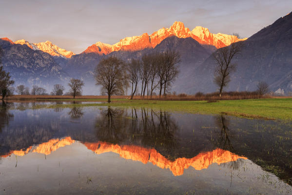 Natural reserve of Pian di Spagna  flooded with snowy peaks reflected in the water at sunset  Valtellina Lombardy Italy Europe