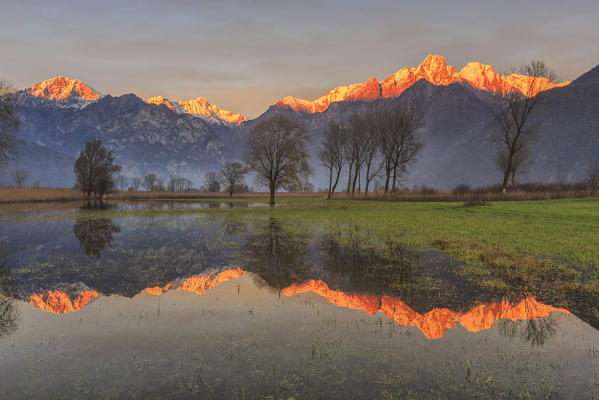 Natural reserve of Pian di Spagna  flooded with snowy peaks reflected in the water at sunset  Valtellina Lombardy Italy Europe