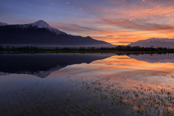 Natural reserve of Pian di Spagna  flooded with Mount Legnone reflected in the water at sunset  Valtellina Lombardy Italy Europe