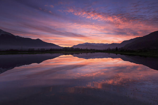 Natural reserve of Pian di Spagna  flooded with snowy peaks reflected in the water at sunset  Valtellina Lombardy Italy Europe