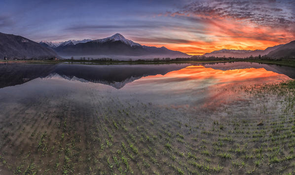 Natural reserve of Pian di Spagna  flooded with Mount Legnone reflected in the water at sunset  Valtellina Lombardy Italy Europe