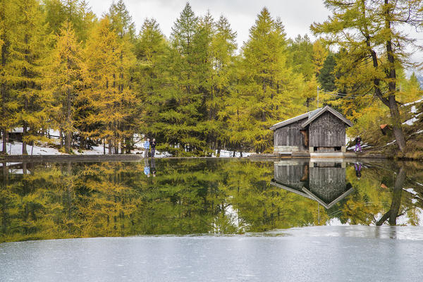 Wooden cabin and colorful trees reflected in Lai da Palpuogna Albula Pass Bergün Canton of Graubünden Engadine Switzerland Europe