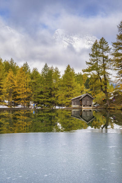 Wooden cabin and colorful trees reflected in Lai da Palpuogna Albula Pass Bergün Canton of Graubünden Engadine Switzerland Europe