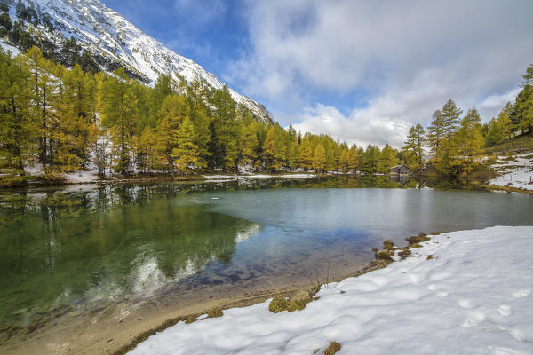 Wooden cabin and colorful trees reflected in Lai da Palpuogna Albula Pass Bergün Canton of Graubünden Engadine Switzerland Europe
