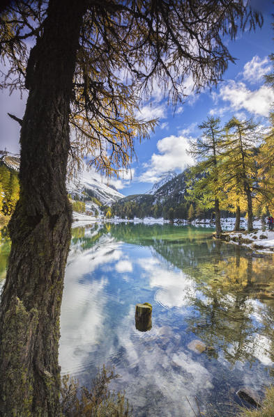 Clouds and colorful trees reflected in Lai da Palpuogna Albula Pass Bergün Canton of Graubünden Engadine Switzerland Europe