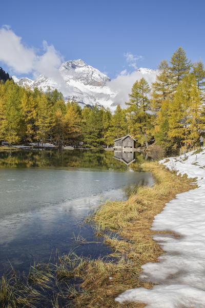 Wooden cabin and colorful trees reflected in Lai da Palpuogna Albula Pass Bergün Canton of Graubünden Engadine Switzerland Europe