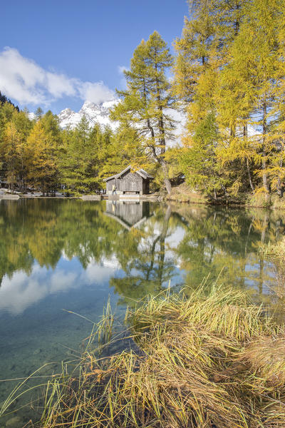 Wooden cabin and colorful trees reflected in Lai da Palpuogna Albula Pass Bergün Canton of Graubünden Engadine Switzerland Europe