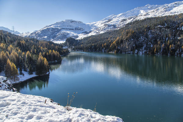 Colored snowy woods reflected in the clear waters of Lej da Marmorera Val Sursette Canton of Graubünden Switzerland Europe