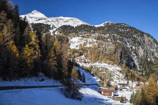 Snowy landscape and colorful trees in the small village of Mulegns Val Sursette Canton of Graubünden Switzerland Europe