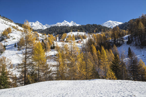 Snowy landscape and colorful trees in the small village of Sur Val Sursette Canton of Graubünden Switzerland Europe