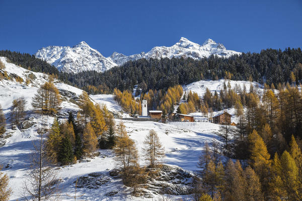 Snowy landscape and colorful trees in the small village of Sur Val Sursette Canton of Graubünden Switzerland Europe