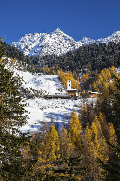 Snowy landscape and colorful trees in the small village of Sur Val Sursette Canton of Graubünden Switzerland Europe