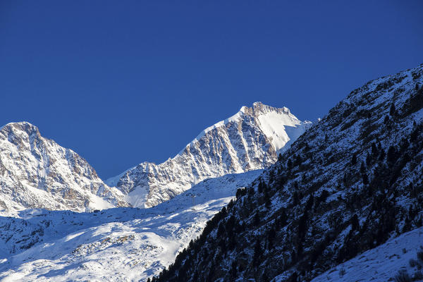 The snowy Peak Bernina under the blue sky Julierpass Albula District Canton of Graubünden Switzerland Europe