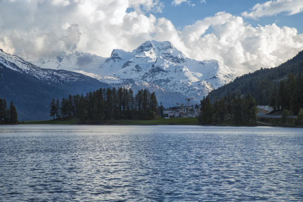 Lake Silvaplana surrounded by woods and snowy peaks Canton of Graubünden Maloja Engadine Switzerland Europe