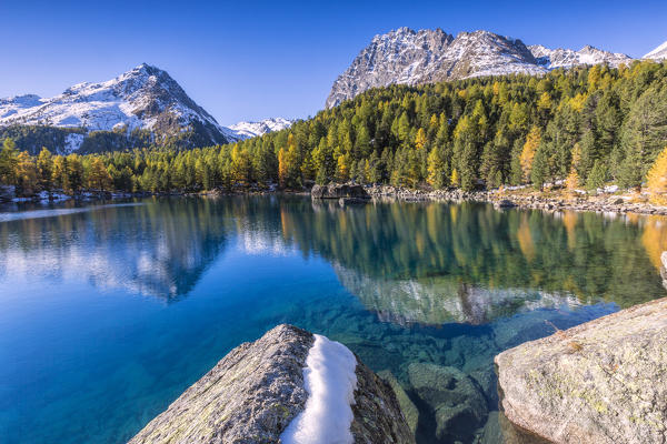 Colorful woods reflected in the blue water of Lake Saoseo Poschiavo Valley Canton of Graubünden Swizterland Europe