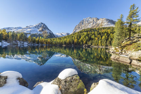 Colorful woods reflected in the blue water of Lake Saoseo Poschiavo Valley Canton of Graubünden Swizterland Europe