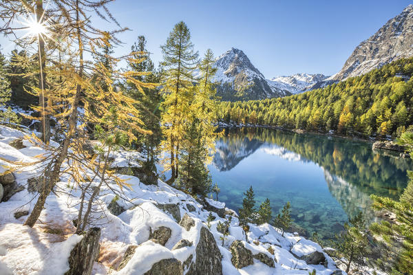 Colorful woods reflected in the blue water of Lake Saoseo Poschiavo Valley Canton of Graubünden Swizterland Europe