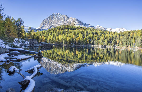Colorful woods reflected in the blue water of Lake Saoseo Poschiavo Valley Canton of Graubünden Swizterland Europe