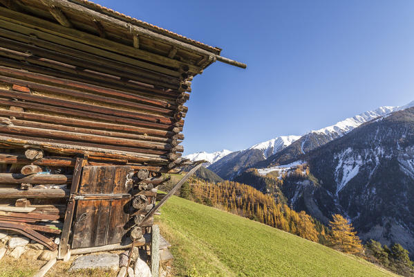 Wooden cabin surrounded by colorful woods and snowy peaks Schmitten Albula District Canton of Graubünden Switzerland Europe