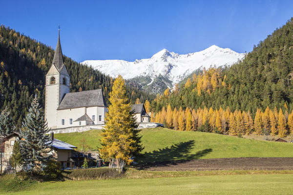 The church of Schmitten surrounded by colorful woods and snowy peaks Albula District Canton of Graubünden Switzerland Europe