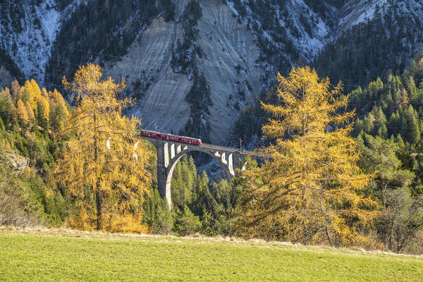 Bernina Express passes through Wiesner Viadukt surrounded by colorful woods Canton of Graubünden Switzerland Europe