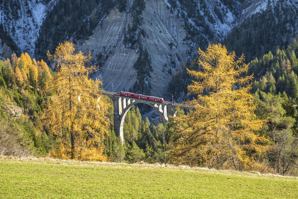 Bernina Express passes through Wiesner Viadukt surrounded by colorful woods Canton of Graubünden Switzerland Europe