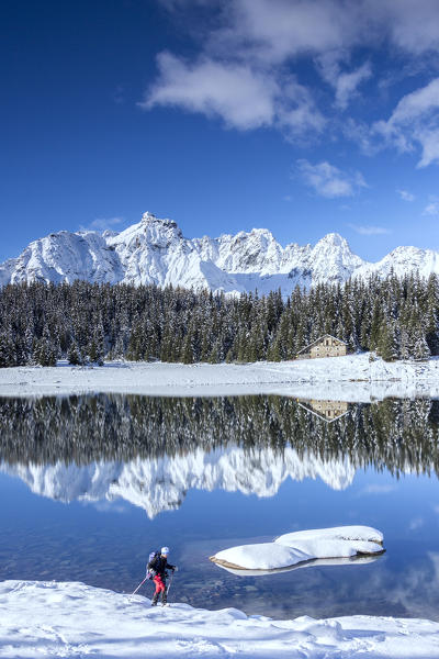 Hiker proceeds on the shore of Palù Lake surrounded by snowy peaks and woods Malenco Valley Valtellina Lombardy Italy Europe