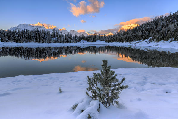 Woods and snowy peaks are reflected in Palù Lake at dawn Malenco Valley Valtellina Lombardy Italy Europe