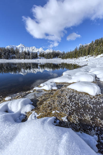 Woods and snowy peaks are reflected in the clear water of Palù Lake Malenco Valley Valtellina Lombardy Italy Europe