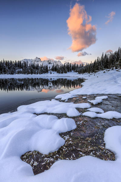 Woods and snowy peaks are reflected in Palù Lake at sunrise Malenco Valley Valtellina Lombardy Italy Europe