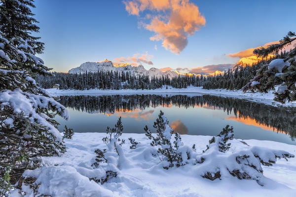 The colors of dawn on the snowy peaks and woods reflected in Palù Lake Malenco Valley Valtellina Lombardy Italy Europe